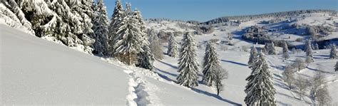 webcam la bresse|Webcams en Direct à La Bresse Hautes Vosges